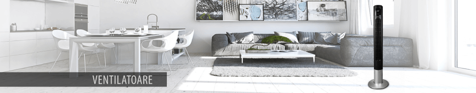 Ventilatoare de Camera si Industriale