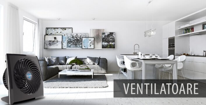 Ventilatoare de Camera si Industriale