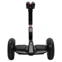 Biciclu electric Rayeetech Minirim B Black