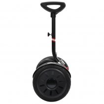 Biciclu electric Rayeetech Minirim B Black