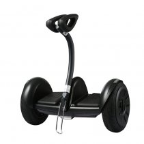Biciclu electric Rayeetech Minirim W Black