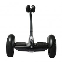 Biciclu electric Rayeetech Minirim W Black