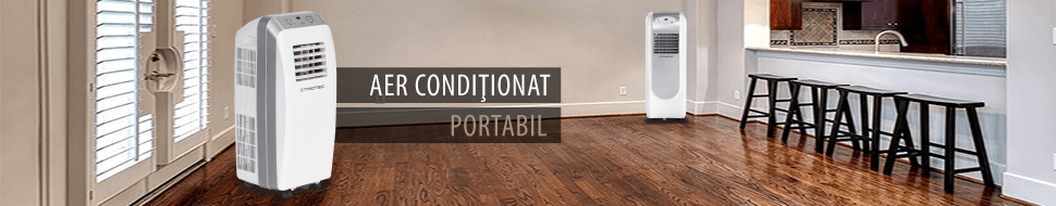 Aer Conditionat Portabil